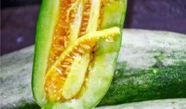 有哪些网红被吃瓜,盘点那些因吃瓜事件引发热议的明星