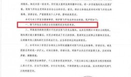 陈飞爆料视频大全下载安装,揭秘幕后真相，带你走进事件核心