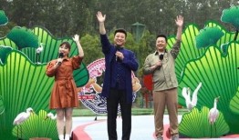 爆料临沂小三视频最新,真相与争议交织